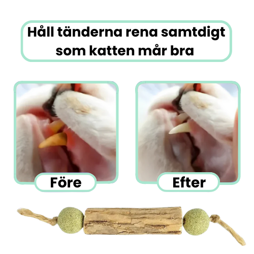 Tuggis -  Leksak för tandrengöring med kattmynta